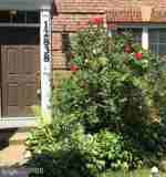 12838 Ethel Rose Way - Photo 1 of 1