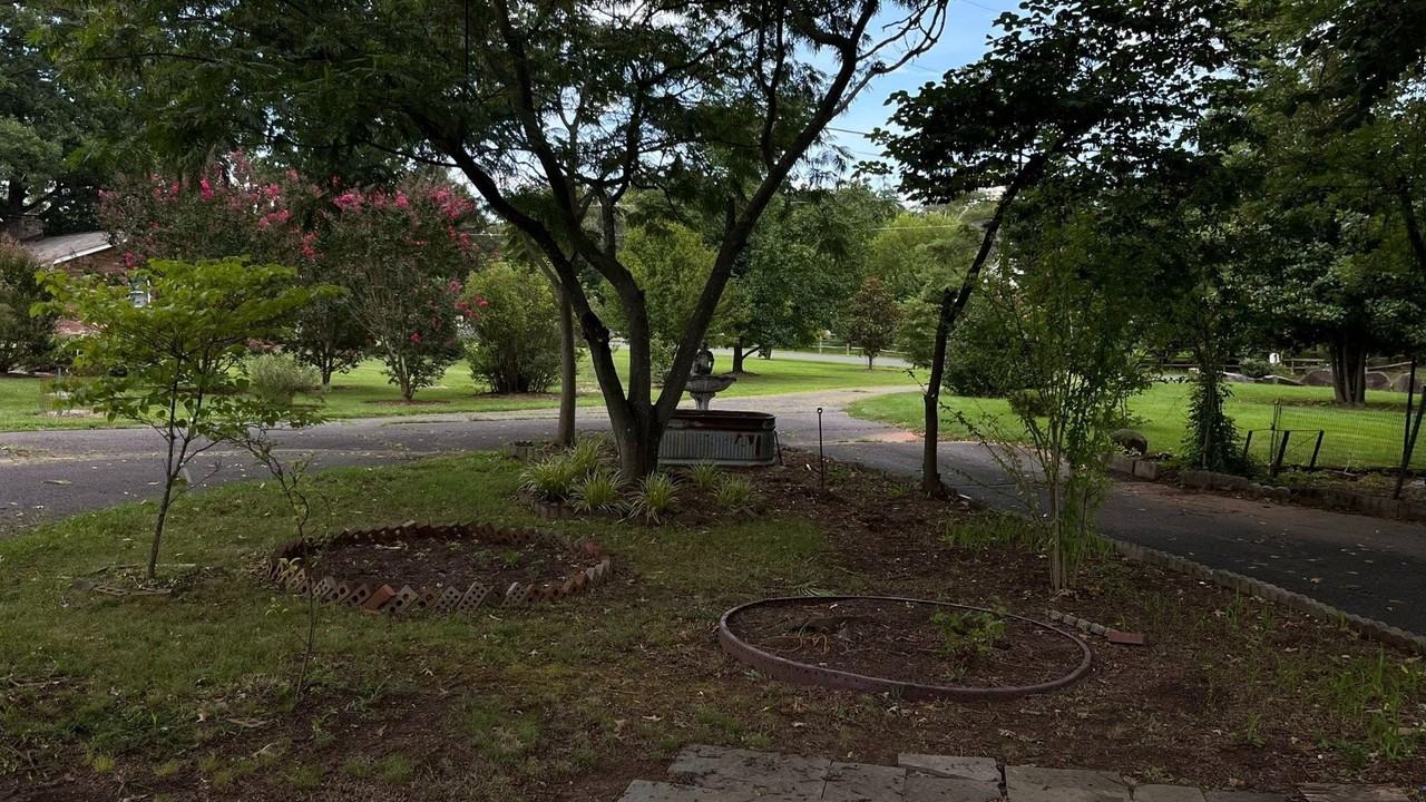 25339 Rainbow Ranch Ln - Photo 5 of 23