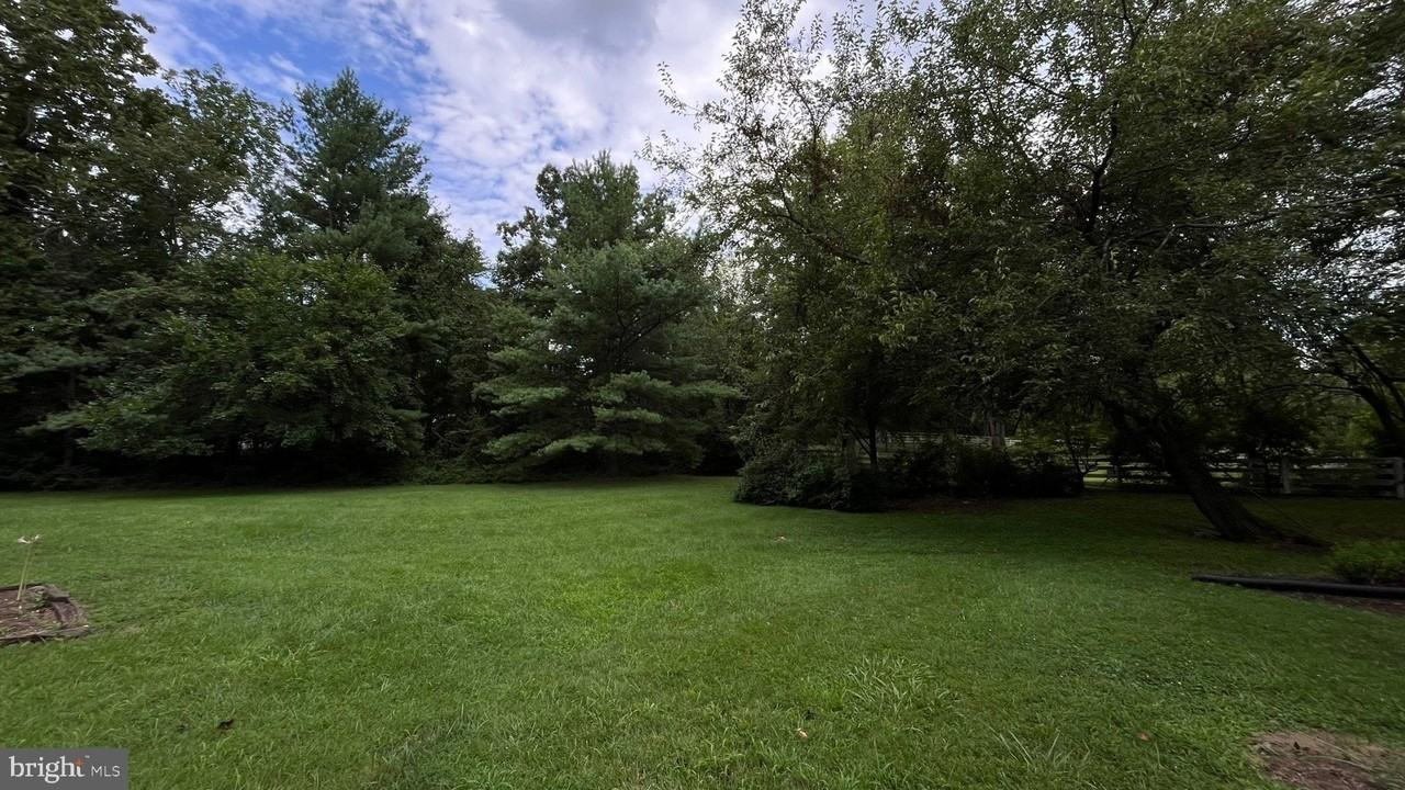25339 Rainbow Ranch Ln - Photo 7 of 23