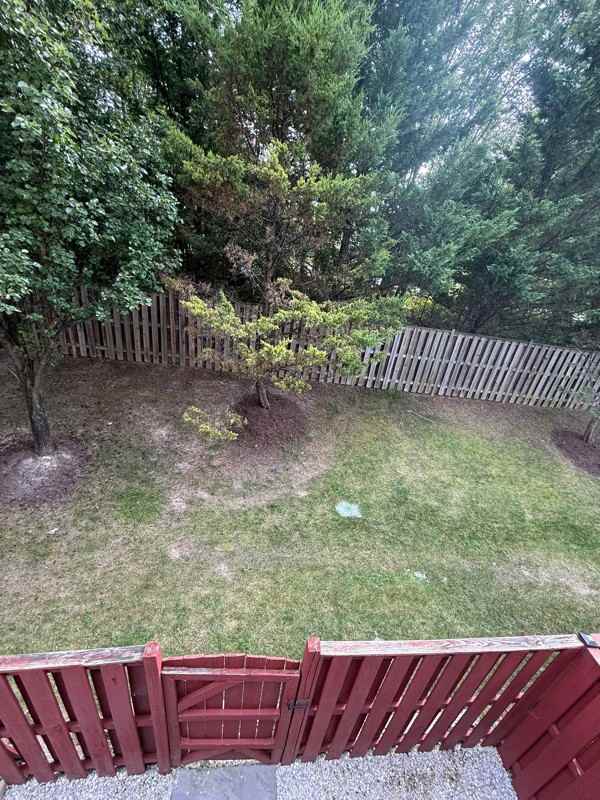 4105 Cressida Pl - Photo 4 of 8