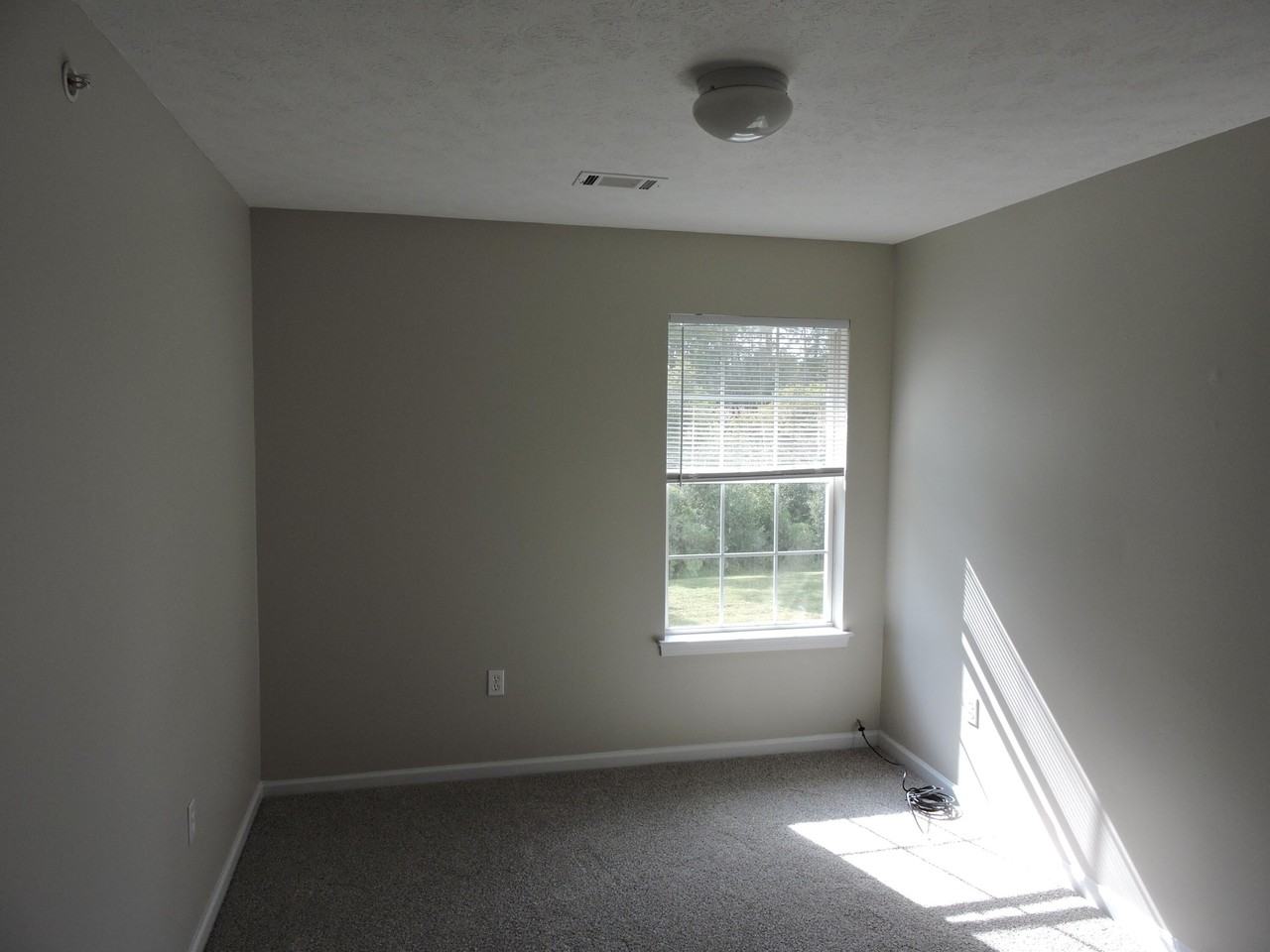 207 Swaying Pine Ct - Photo 7 of 15