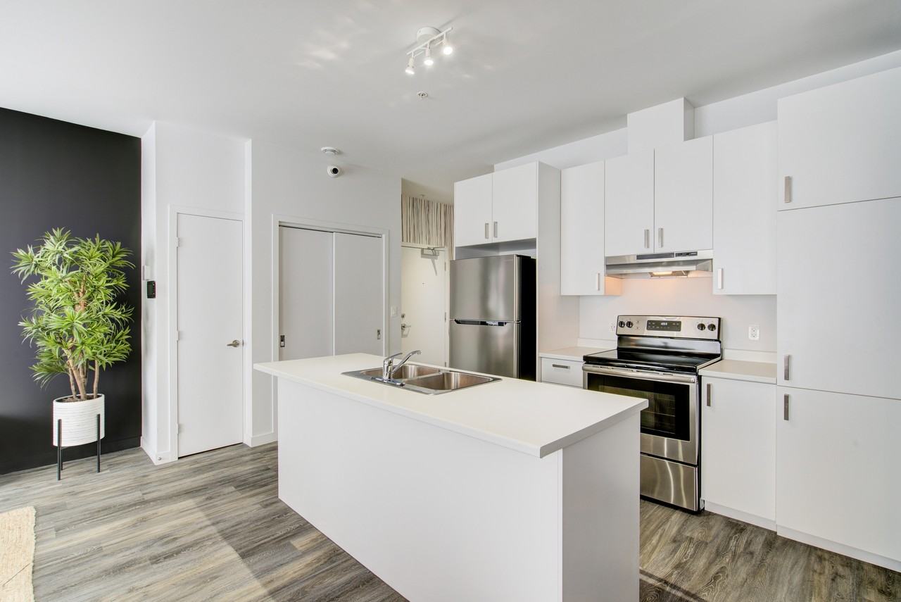 150 Rue de la Maçonnerie #103 — photo 2