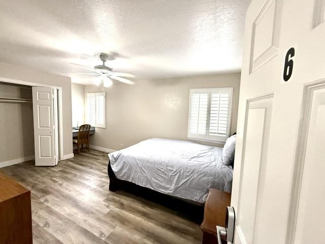 Carlotta Cir - Photo 6 of 11
