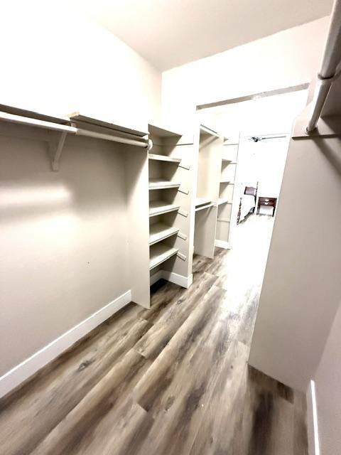 Carlotta Cir - Photo 5 of 7
