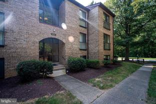 2037 Royal Fern Ct - Photo 1 of 1