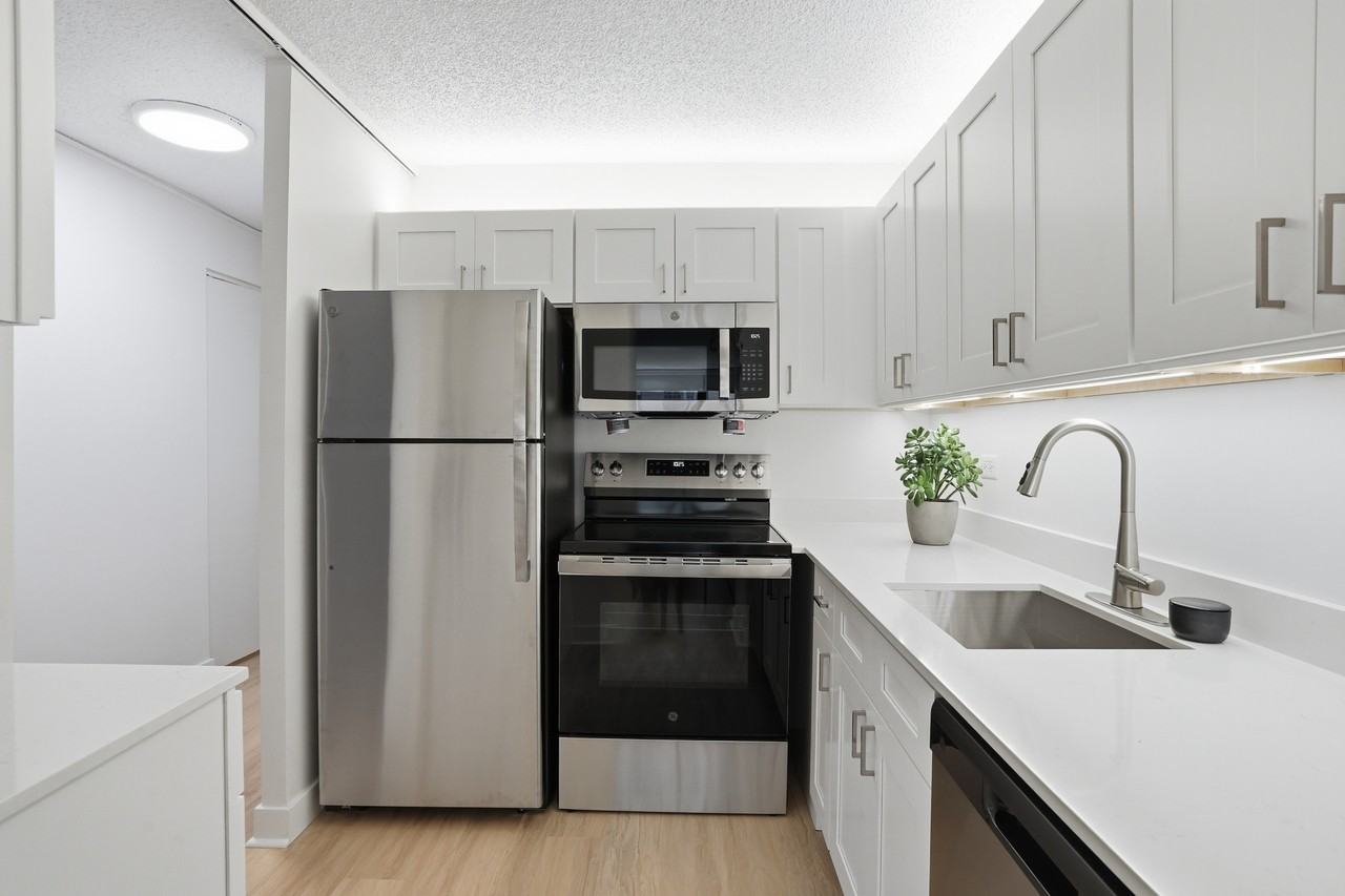 233 E Wacker Dr #1-1 - Photo 3 of 19