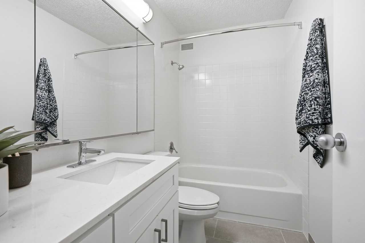233 E Wacker Dr #1-1 - Photo 6 of 19