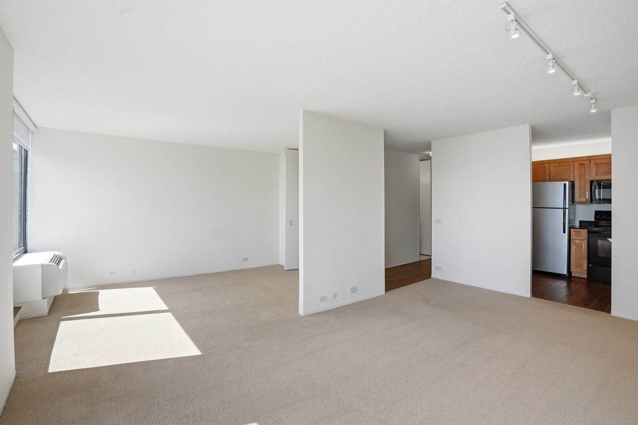 233 E Wacker Dr - Photo 7 of 31