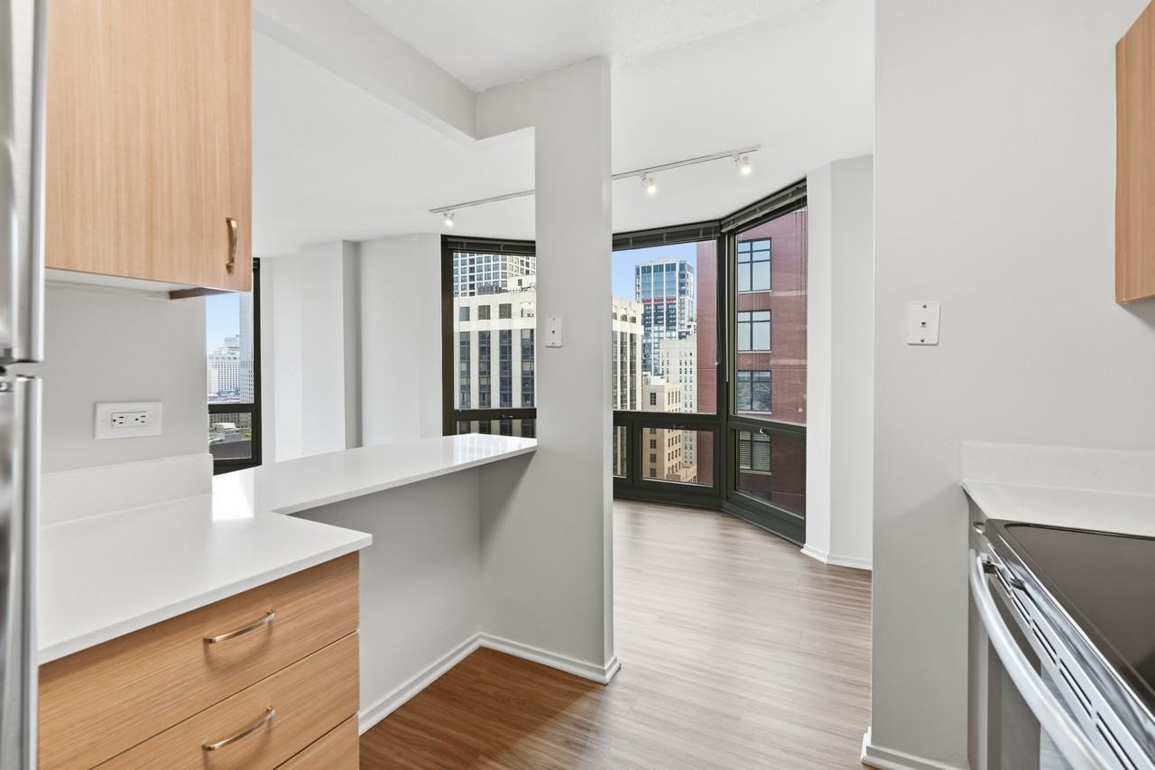 1130 N Dearborn St #2-2 - Photo 4 of 43
