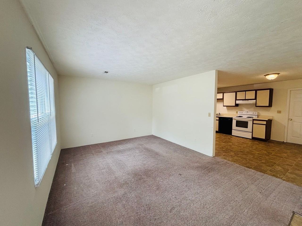 174 Clover Valley Cir - Photo 5 of 22
