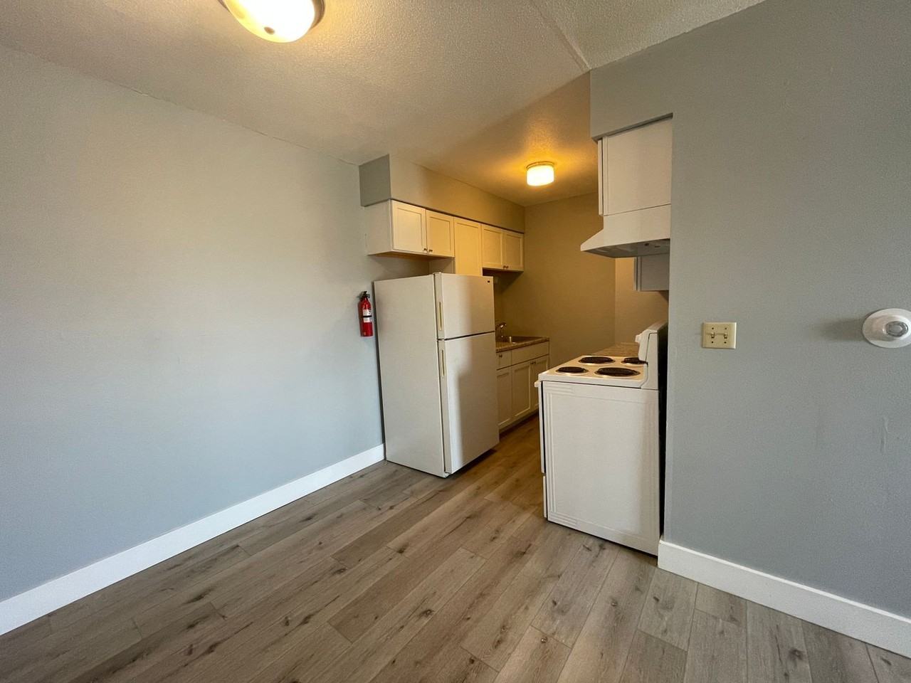 1307 7th Ave - Photo 4 of 15