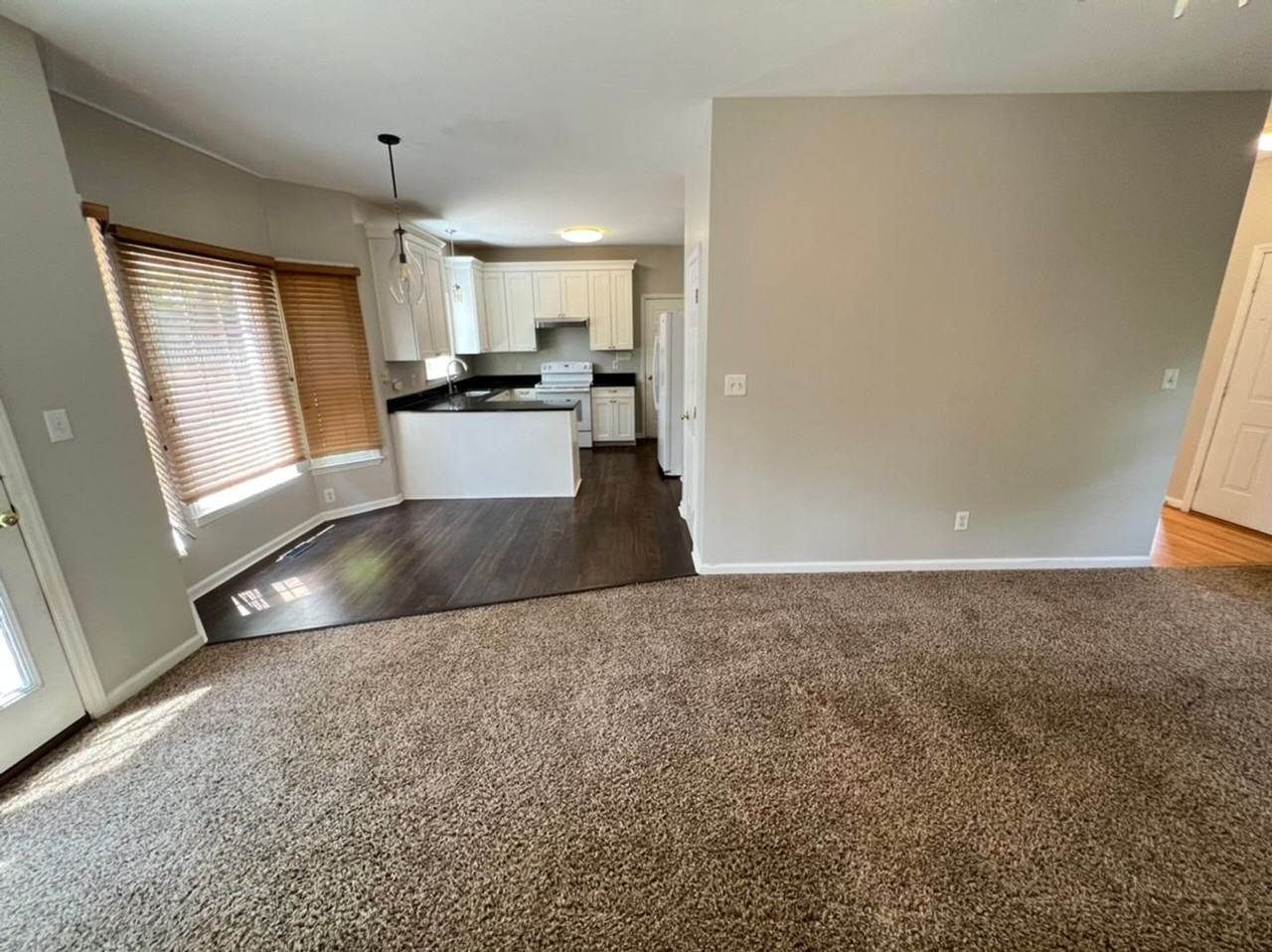 102 Cedar Twig Ct - Photo 5 of 21