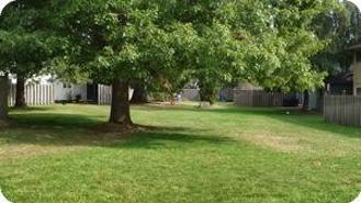 4350 Sean St - Photo 1 of 1