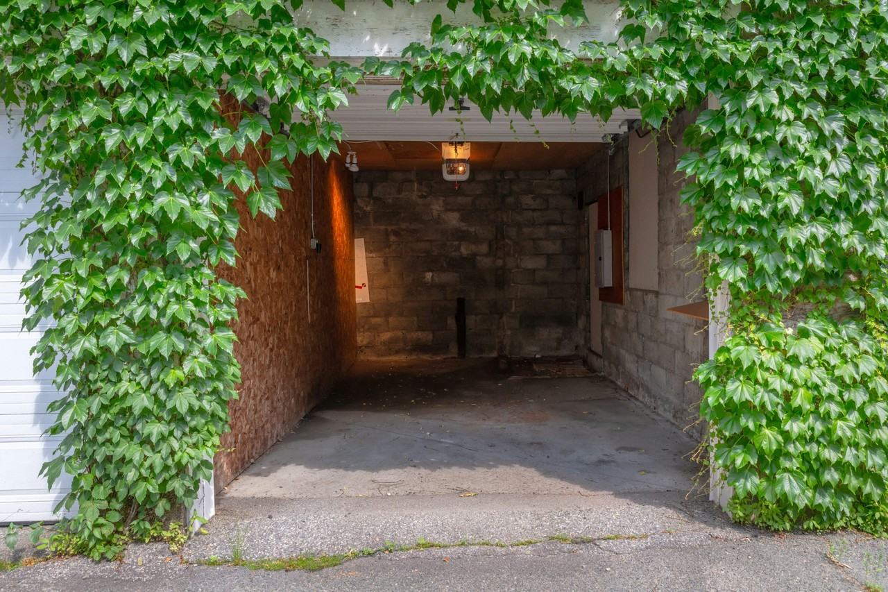 104 Trowbridge St #4 - Photo 6 of 13