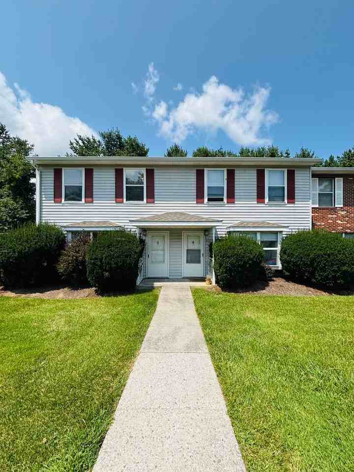 317 Pheasant Run Ct - Photo 4 of 19