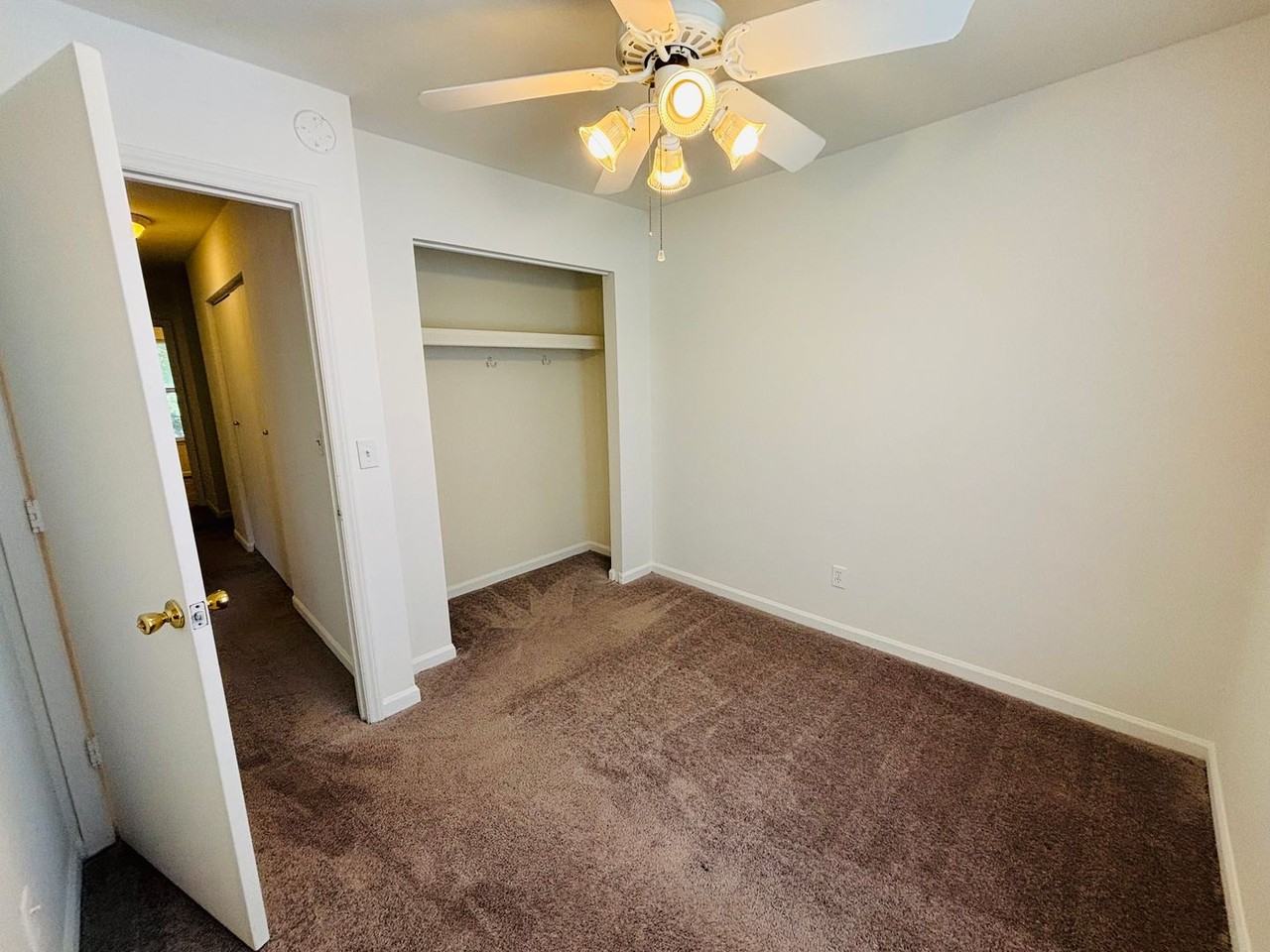 317 Pheasant Run Ct - Photo 5 of 19