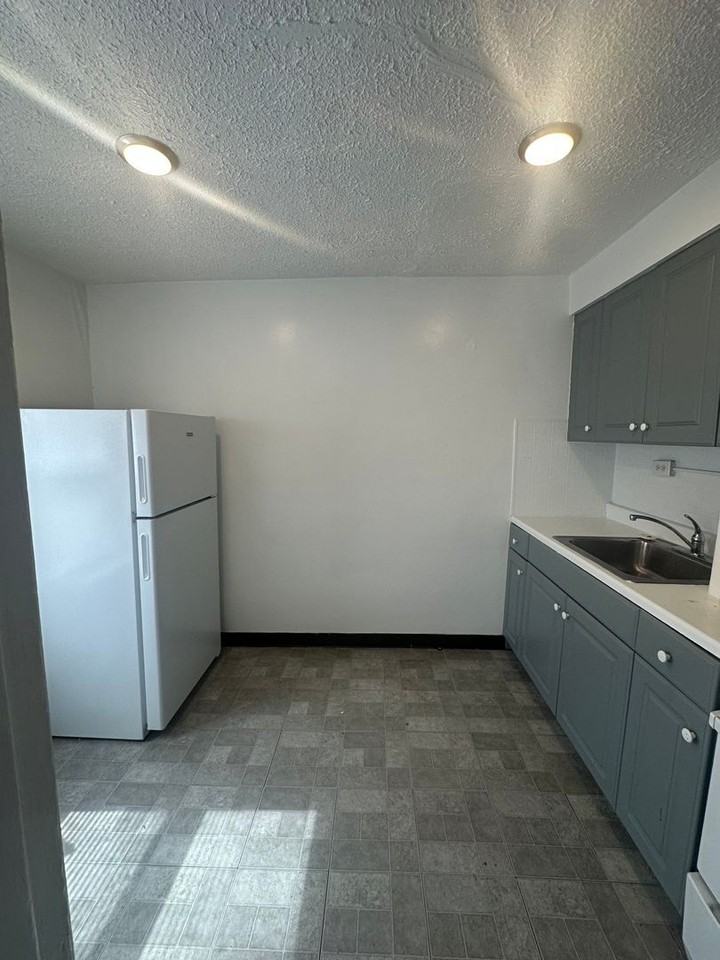 525 N. Adams (Bushwood Properties LLC) - Photo 2 of 7