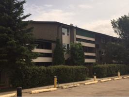 featured image of 5328 54 St