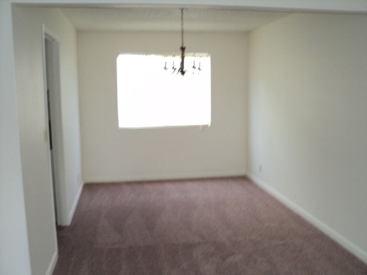 812 Cackling Dr - Photo 3 of 10