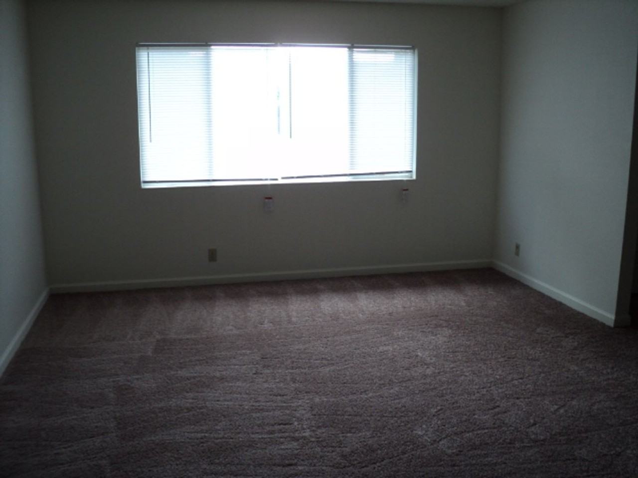 812 Cackling Dr - Photo 4 of 10