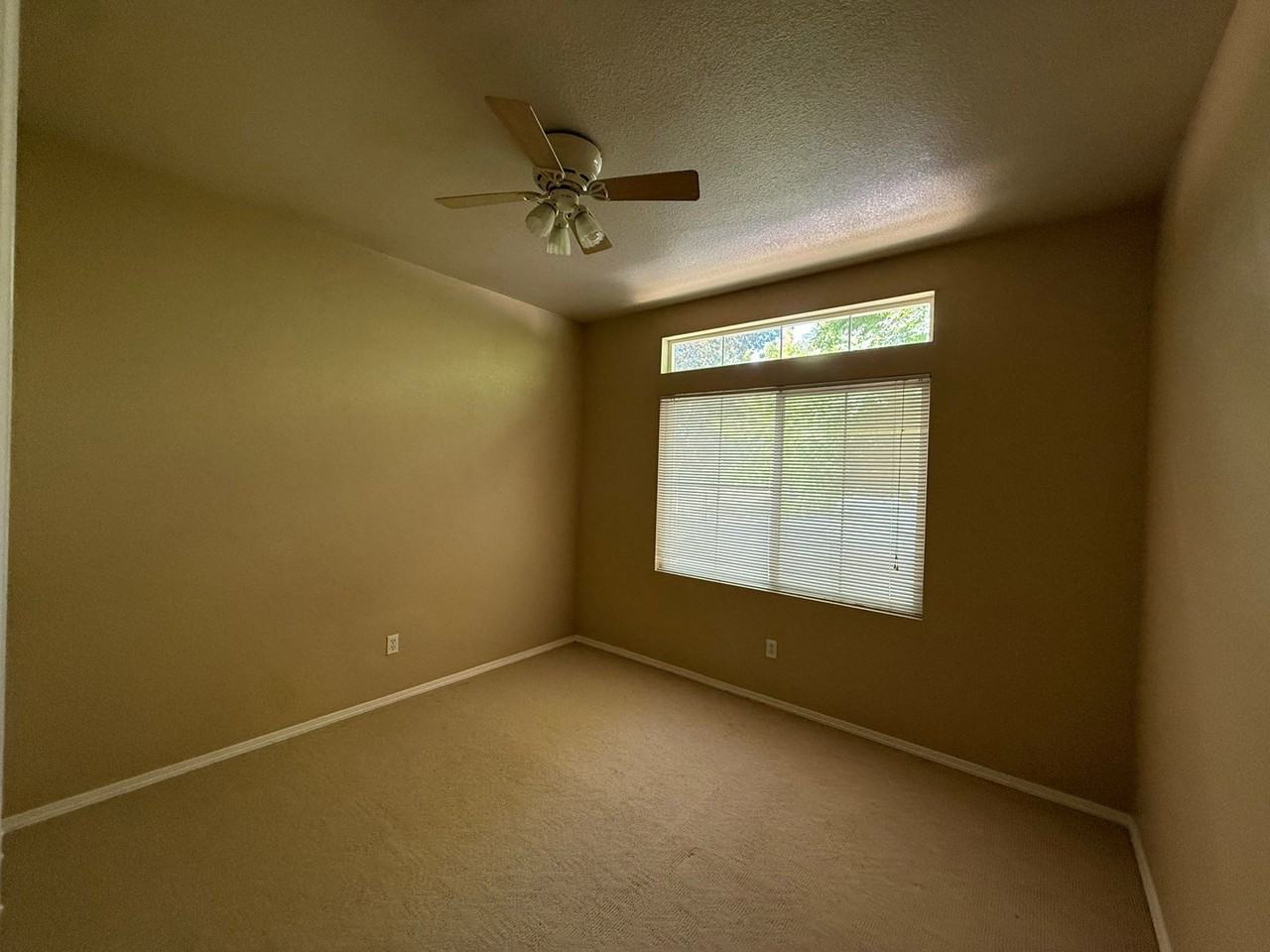 9258 Crystal Falls Way - Photo 7 of 13