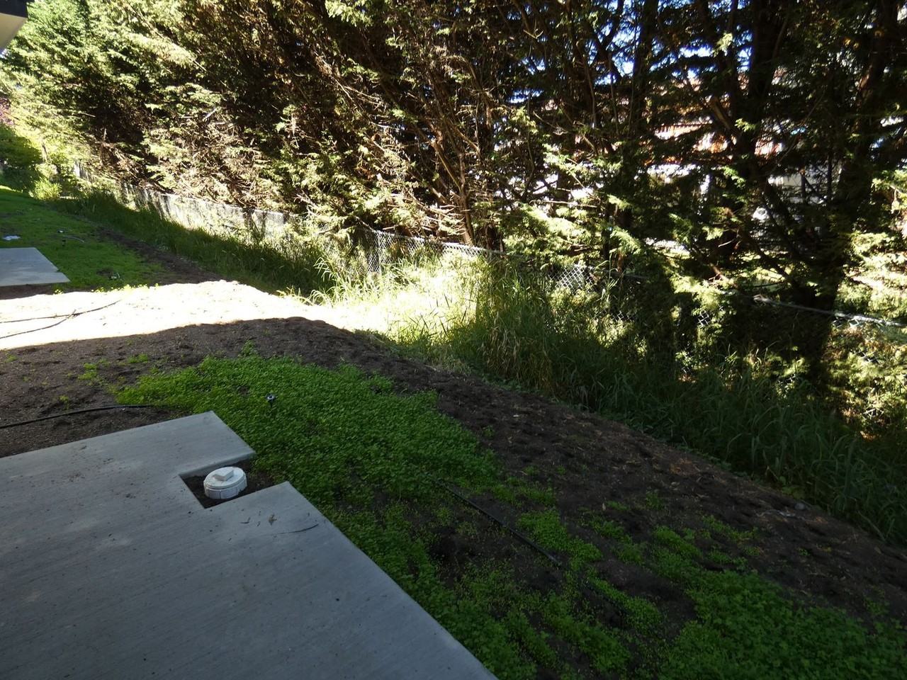1827mel -Hines/Cortani - Photo 2 of 26