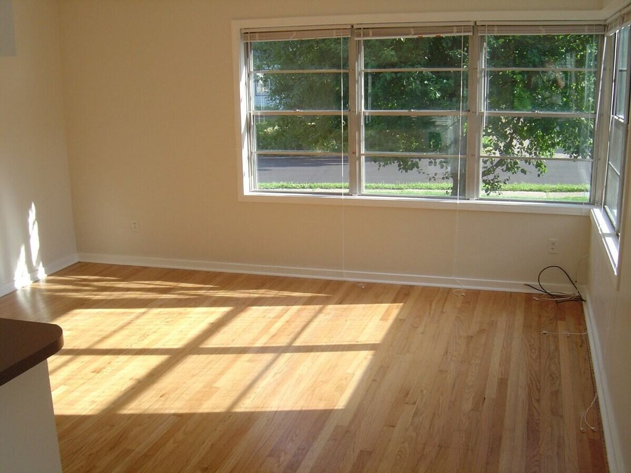819 Rider St - Photo 5 of 17