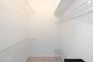 featured image of 7033 Hammock Trace Dr
