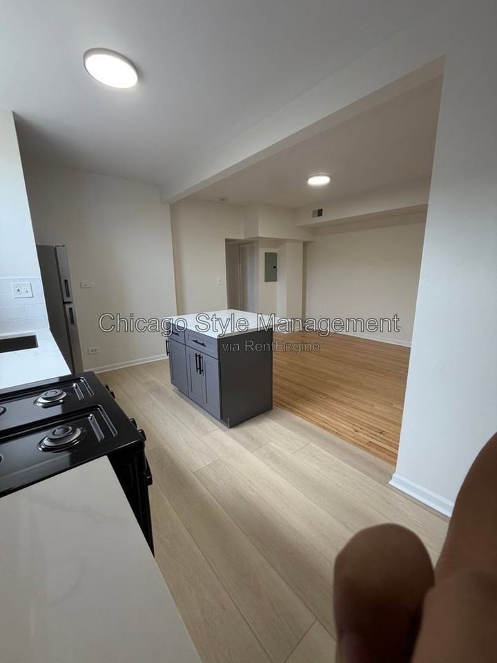 7831 S Colfax Ave #1N - Photo 3 of 13