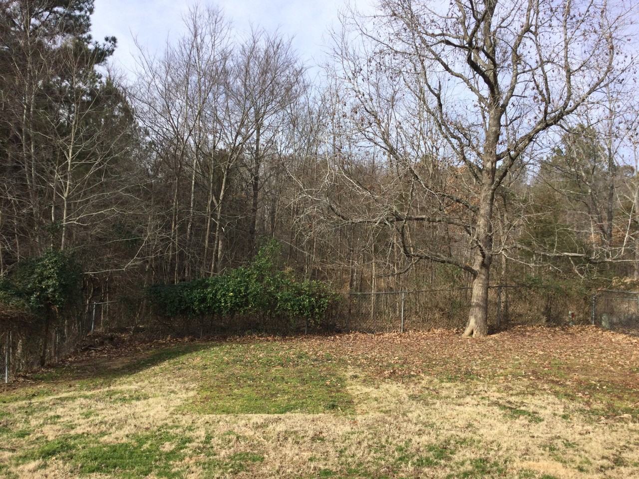 3313 Quail Ridge Rd - Photo 4 of 6