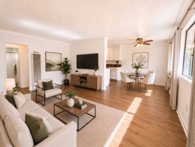 Spacious 1 - Photo 1 of 1