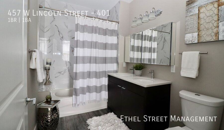 457 W Lincoln St #401 - Photo 3 of 47