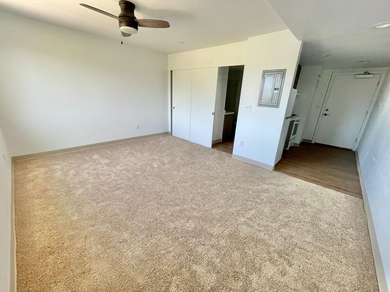 216Olive - Photo 4 of 17