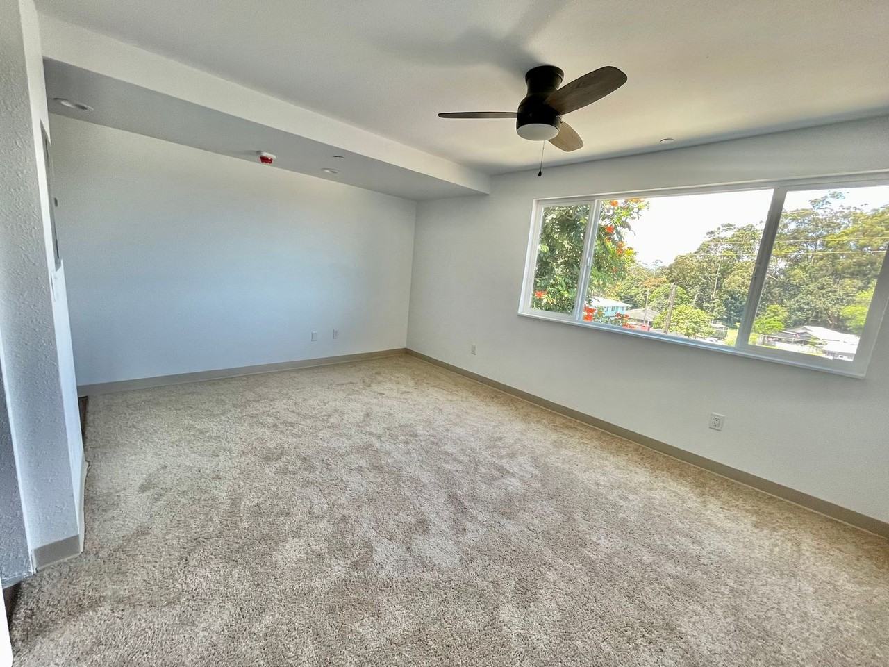 216Olive - Photo 5 of 17