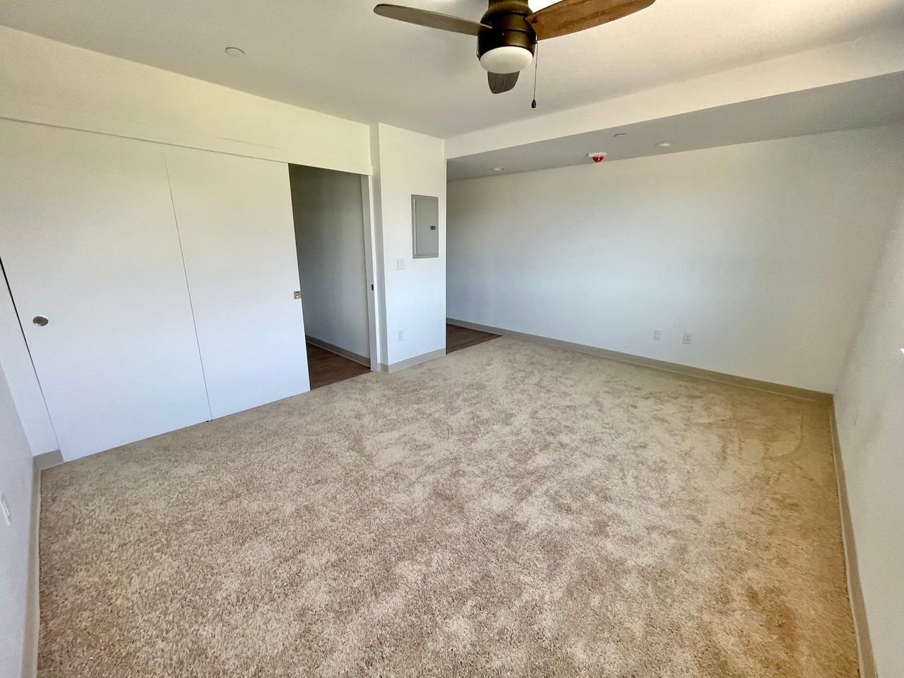 216Olive - Photo 6 of 17