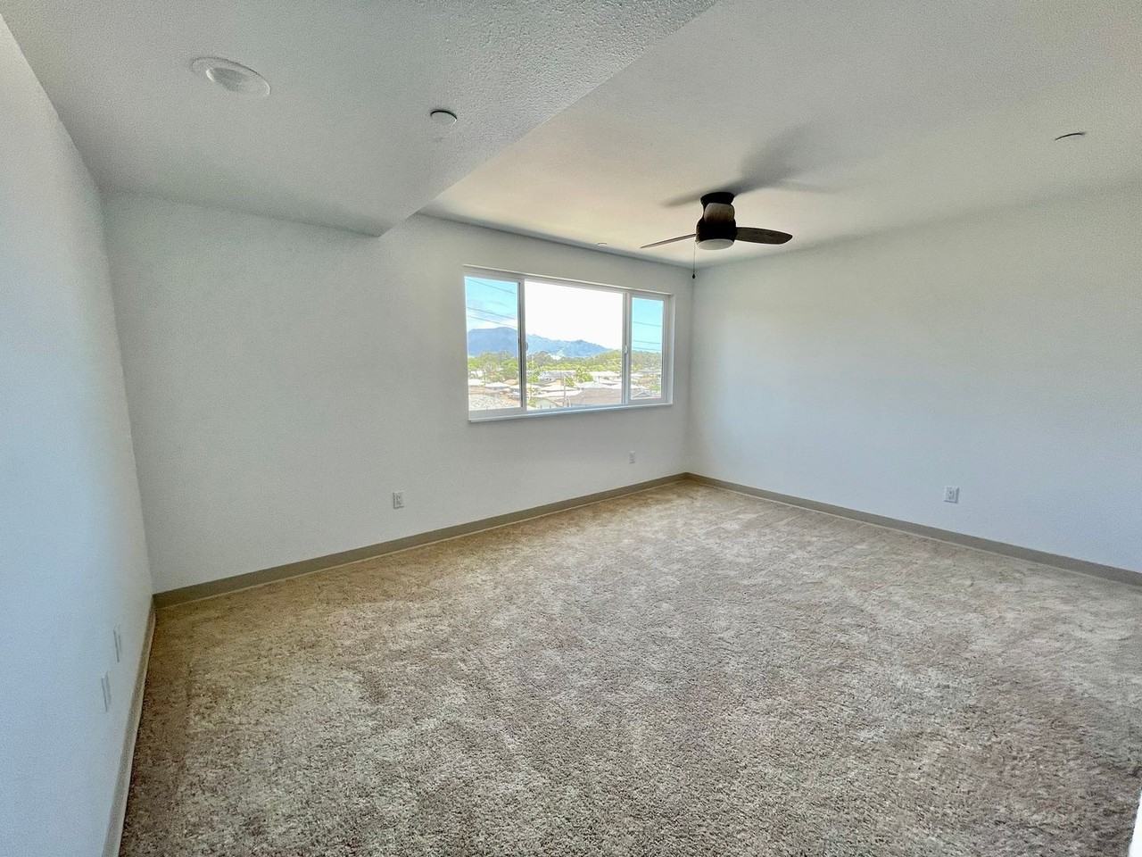216Olive - Photo 7 of 17