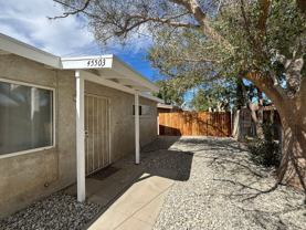 45503 Cedar Ave - Photo 1 of 1