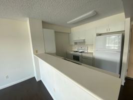 featured image of 1450 Young St #1404