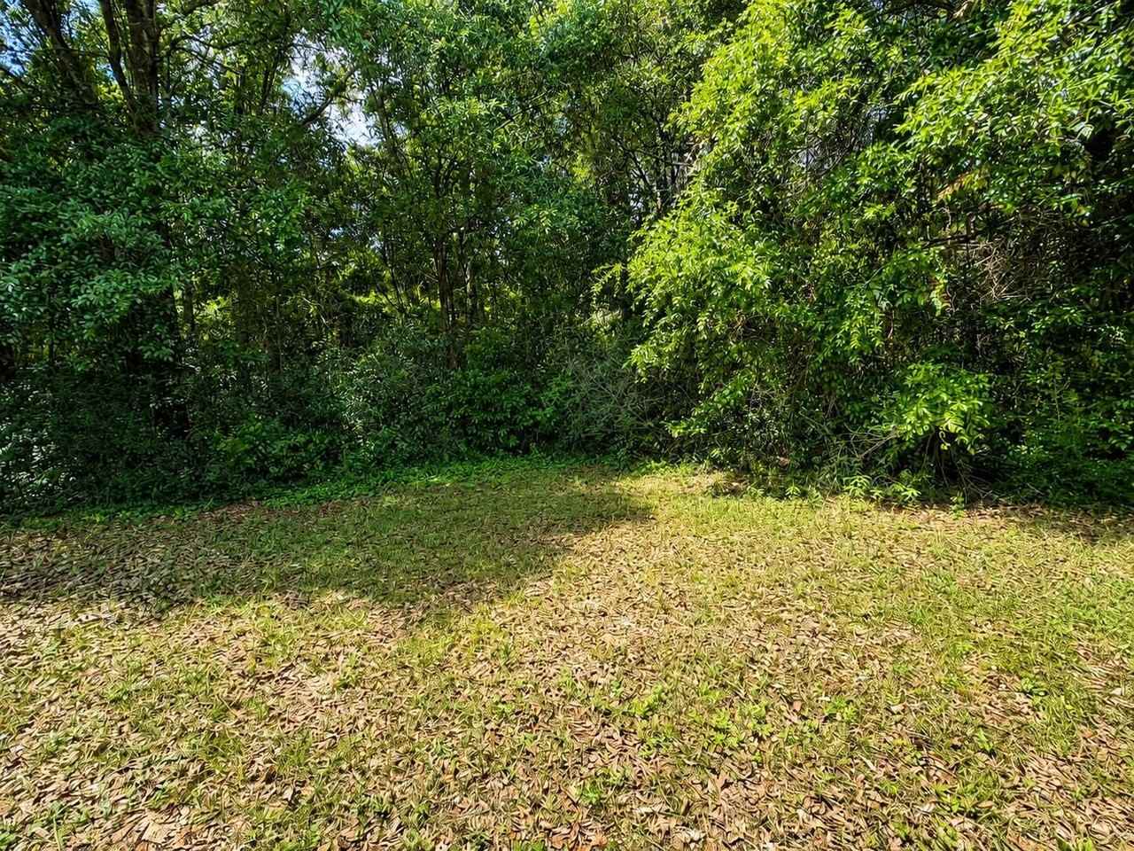5326 Vernon Taylor Rd - Photo 6 of 19