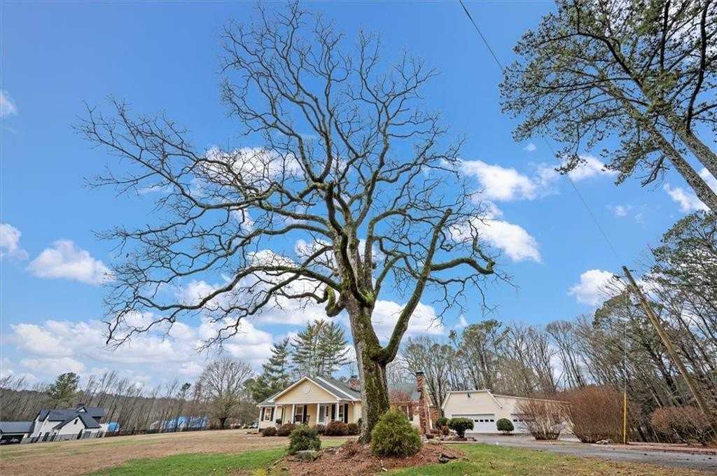 14605 Cogburn Rd - Photo 3 of 50