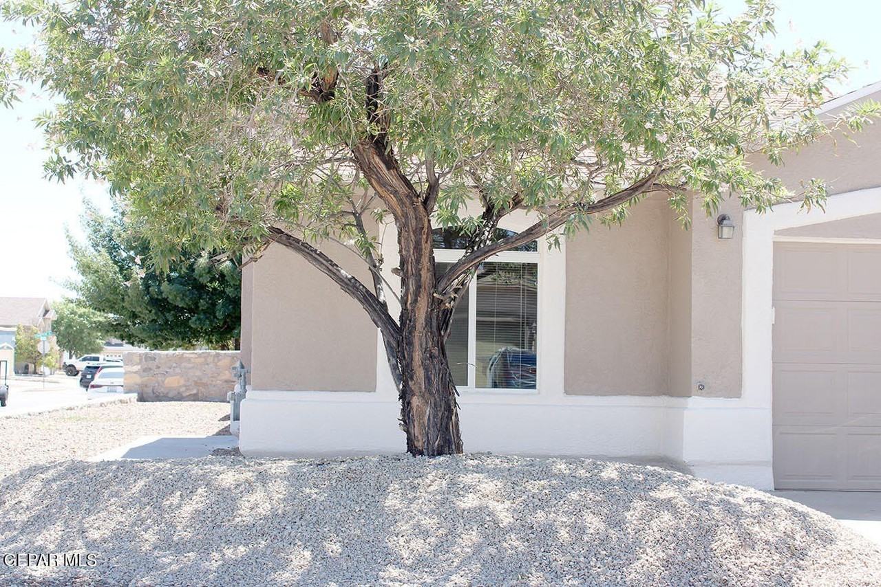 5040 Gold Ranch Ave - Photo 2 of 17