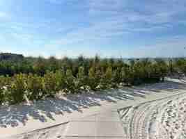 featured image of 1001 Point Of Rocks Rd #412