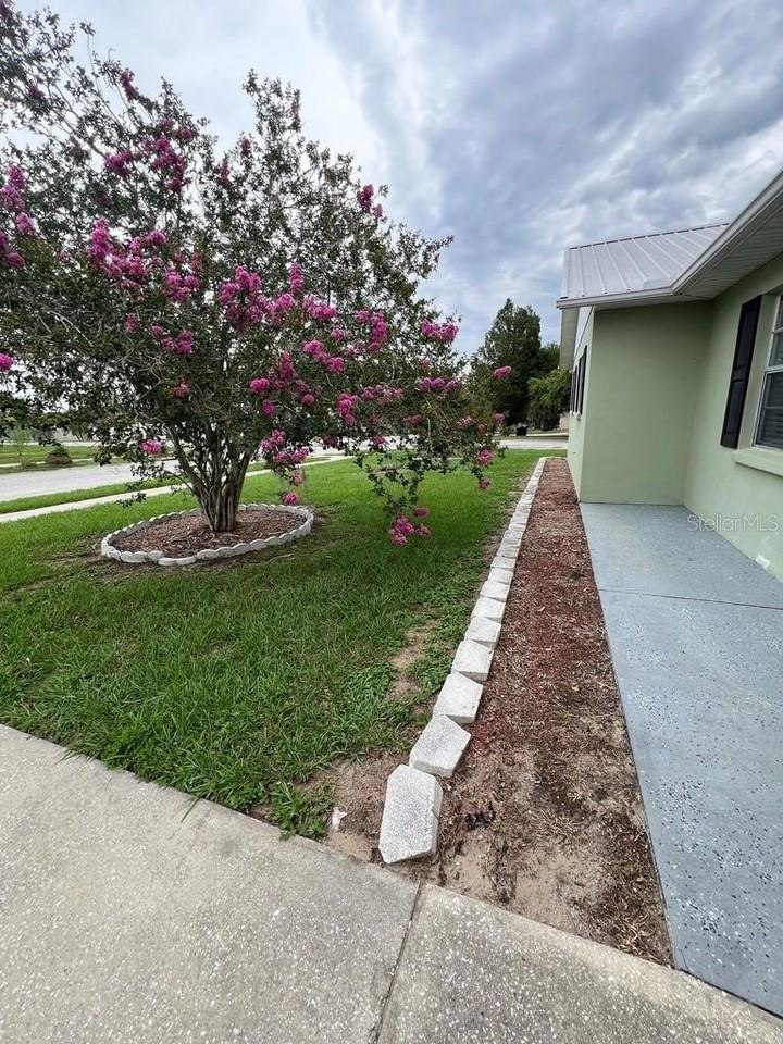 38822 Margs Ct - Photo 2 of 20