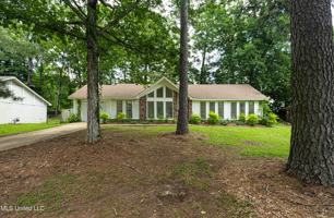featured image of 107 Cumberland Rd