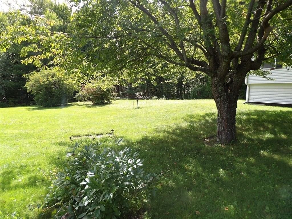152 Mannville St #1 - Photo 5 of 20