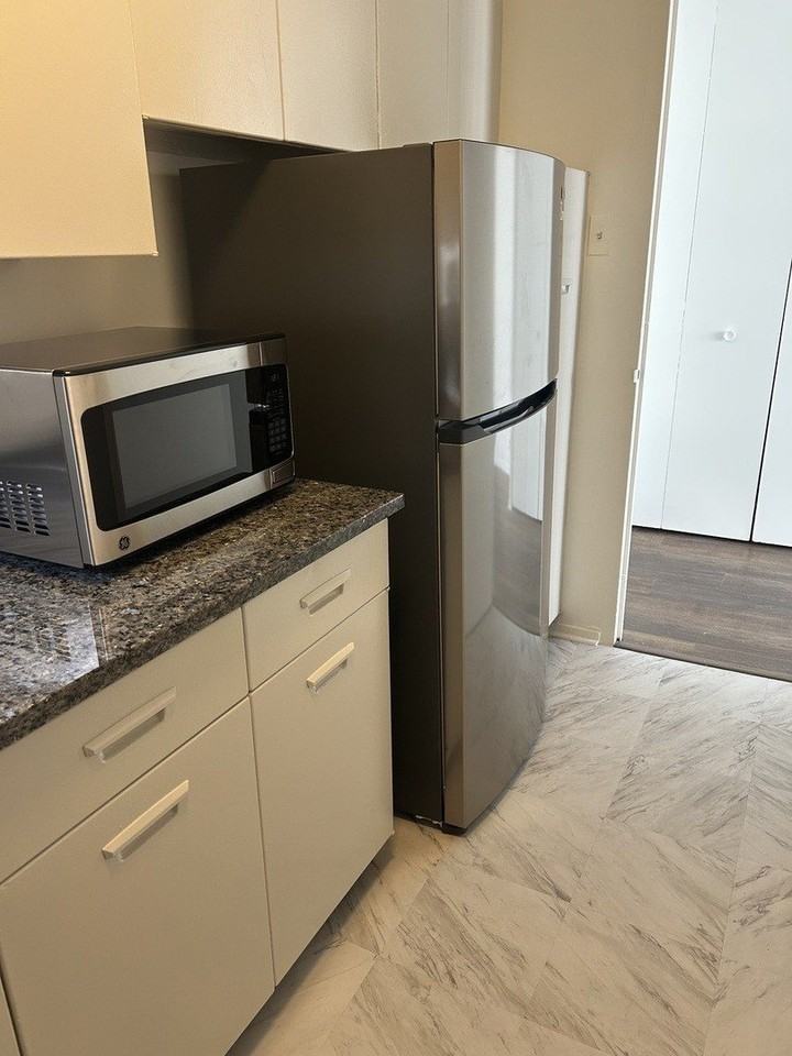 1450 E 55th Pl #719S - Photo 4 of 18
