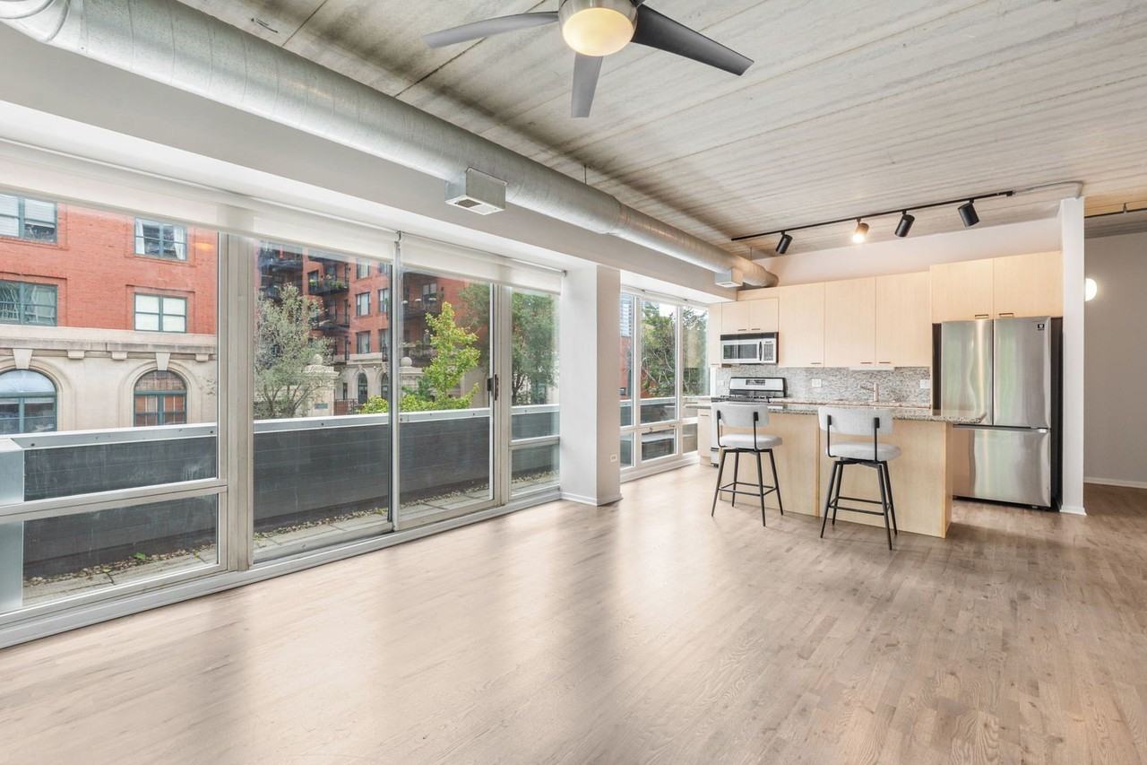 1440 S Michigan Ave #219 - Photo 3 of 15