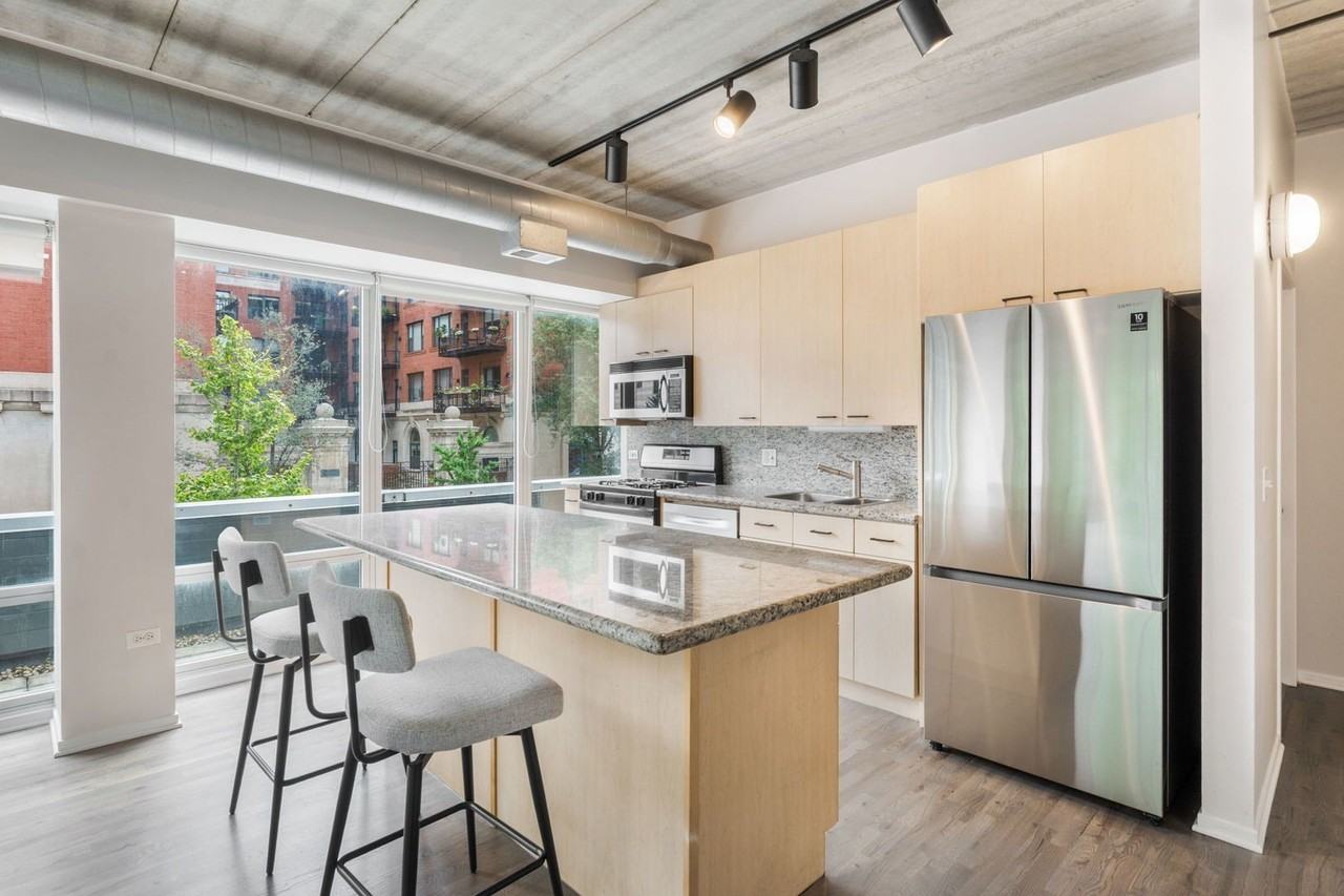 1440 S Michigan Ave #219 - Photo 4 of 15
