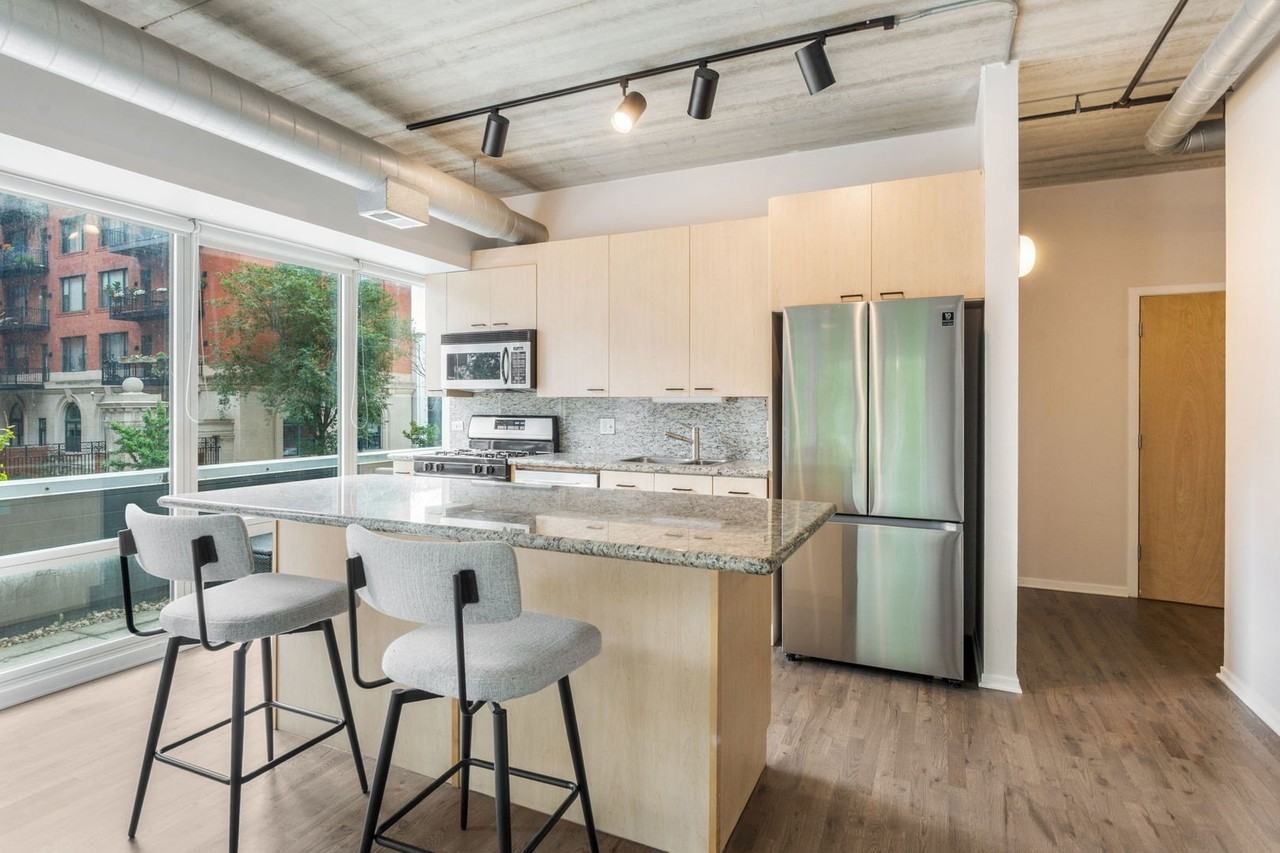 1440 S Michigan Ave #219 - Photo 5 of 15