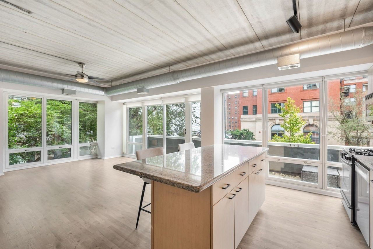 1440 S Michigan Ave #219 - Photo 6 of 15